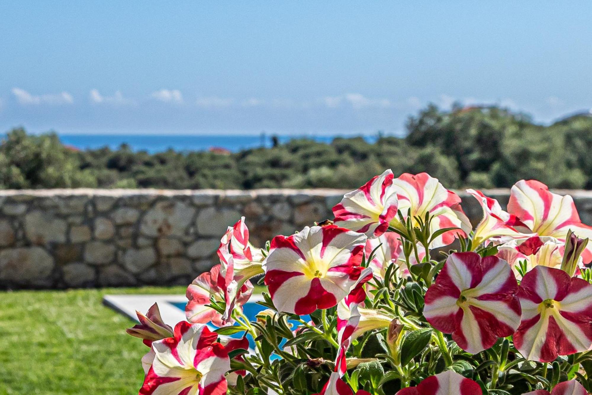 Villa Penelope Galatas  Exterior photo